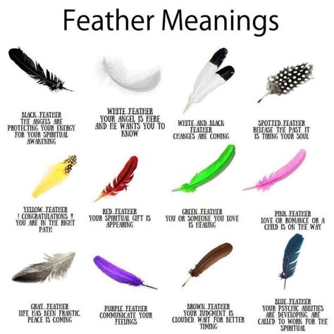 Bible verses related to Feathers from the King James Version (KJV) by Relevance. . Black and white feather meaning in the bible